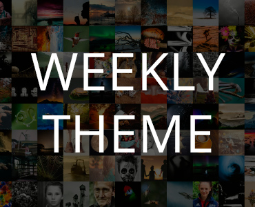 Weekly Theme - Look