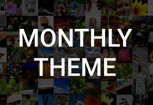 Monthly Theme April 2023 - Seasons